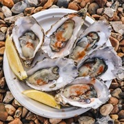 Whitstable Oysters