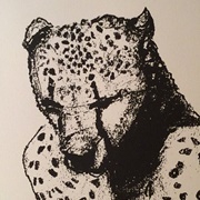 New Partner - Palace Music