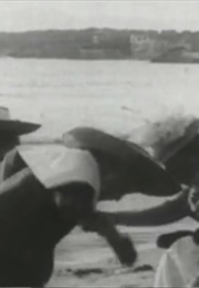 The Children's Seaside Frolic (1897)