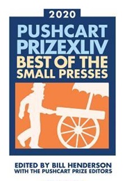 Pushcart Prize Anthologies (Ed. Bill Henderson)