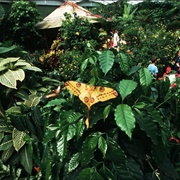 Naturospace Honfleur