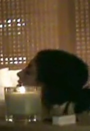 Verne Troyer Sex Tape (2008)