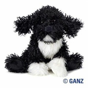 Portuguese Water Dog