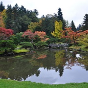 Washington Park Arboretum, Seattle