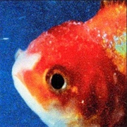 Big Fish Theory (Vince Staples, 2017)