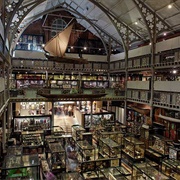 Pitt Rivers Museum