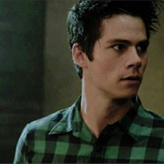 Green Dylan