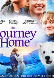 The Journey Home (2014)