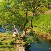 Wild Swimming in Eskdale