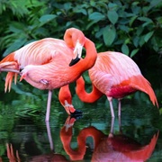 Everglades National Park, USA