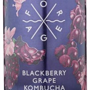 Forage Blackberry Grape Kombucha