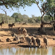 Mkuze Game Reserve