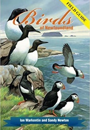 Birds of Newfoundland (Ian Warkentin)