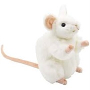 Hansa: White Mouse