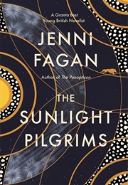 The Sunlight Pilgrims (Jenni Fagan)