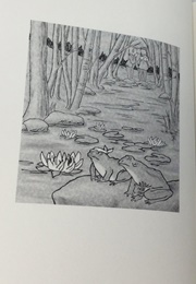 Who Will Run the Frog Hospital? (Lorrie Moore)