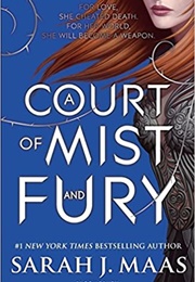 A Court of Mist and Fury (Sarah J Maas)
