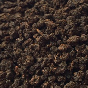 Simpson & Vail Assam-Doomur Dullung Estate Tea