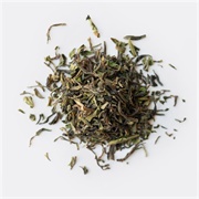 Rishi Tea Darjeeling First Flush Marybong DJ7