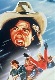 The Further Adventures of the Wilderness Family (1978)