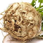 Ugly Celery Root