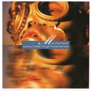 Moon Fog Prophet - Taunting Tin Bells Through the Mammal Void