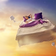 Your Dreams/Nightmares