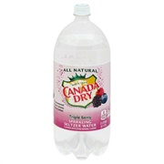 Canada Dry Triple Berry Sparkling Seltzer Water