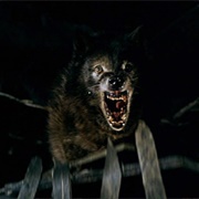 Wolf Spirit - Wolfen