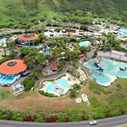 Sea Life Park, Oahu