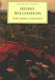 A Chronicle of Ancient Sunlight (Henry Williamson)