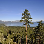 Van Sickle Bi-State Park, Nevada & California