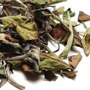The Tea Spot Monkey-Picked White Tea