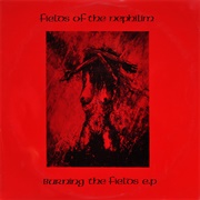 Fields of the Nephilim - Burning the Fields