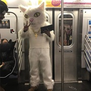 Subway Cat