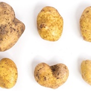 Ugly Gold Potato