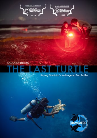 The Last Turtle (2019)