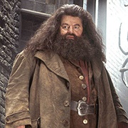 Rubeus Hagrid (Harry Potter Series, 2001-2011)