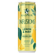 Radnor Infusions Lemon &amp; Mint