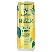 Radnor Infusions Lemon & Mint