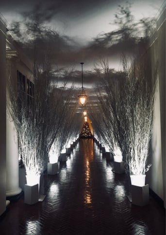 2017 Holiday Decorations at the White House (2017)