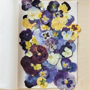 Press Flowers