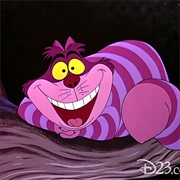 The Chesire Cat