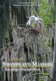 Louisiana Swamps and Marshes (Anne Butler)