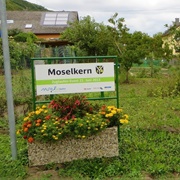 Moselkern, Germany
