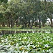 Centennial Park, Sydney