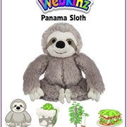 Panama Sloth