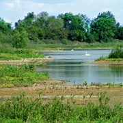 Idle Valley Nature Reserve, Nottinghamshire