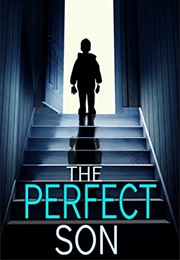 The Perfect Son (Freida McFadden)