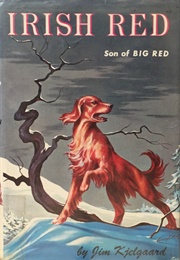 Irish Red (Kjelgaard, Jim)